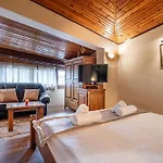 Villa Tiana 7-bedroom Luxury Bansko